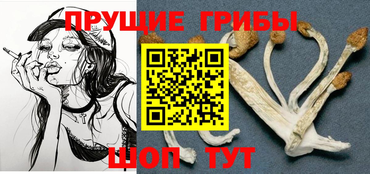 Грозный  Псилоцибиновые грибы MAGIC MUSHROOMS  где купить наркотик  Вход с VPN  Галлюциногенные грибы Psilocybine cubensis 