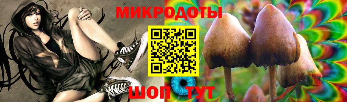 Галлюциногенные грибы Magic Shrooms Грозный